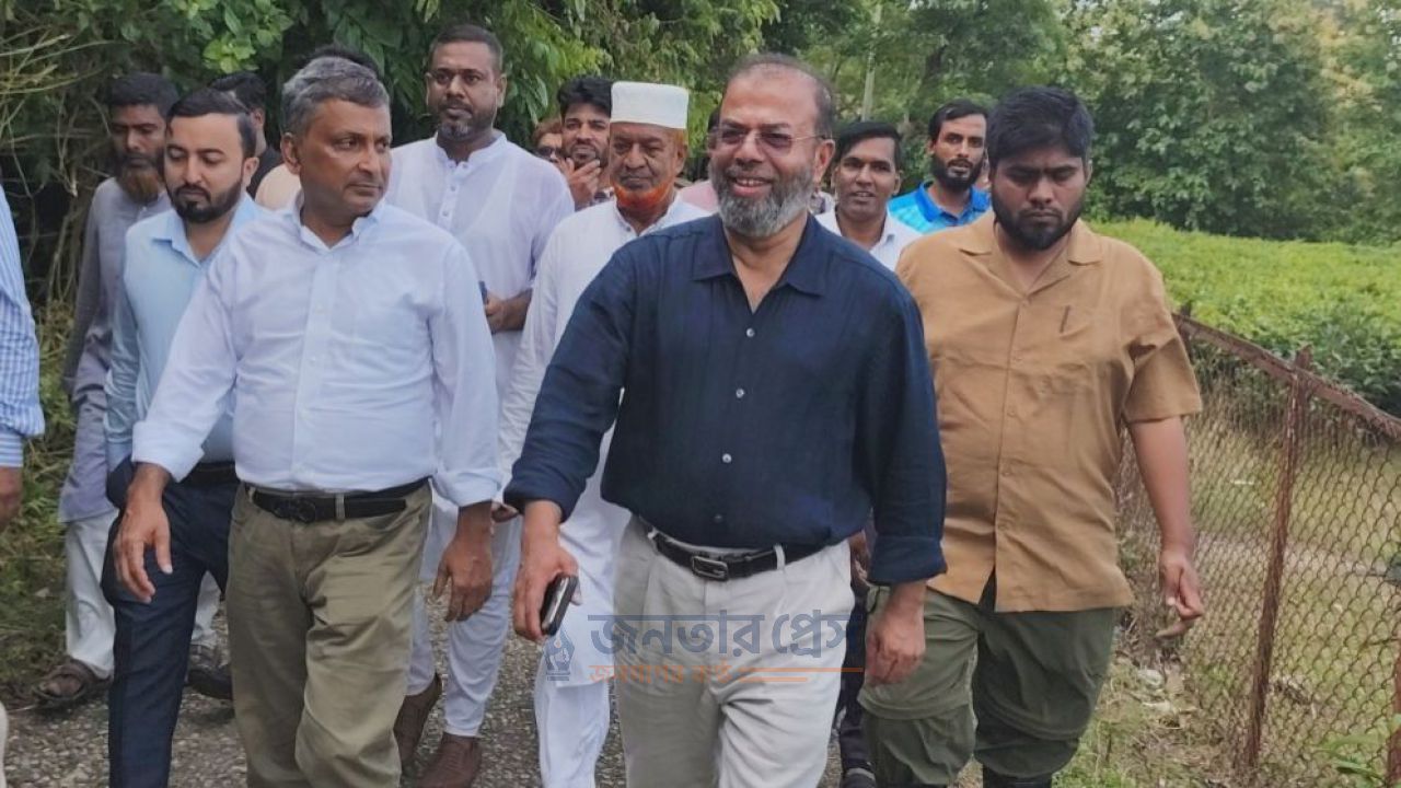 কাঠ পুড়িয়ে ইট তৈরি হলে কঠোর ব্যবস্থা: পরিবেশ প্রতিমন্ত্রী